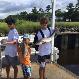 Meet your Posher, Blake